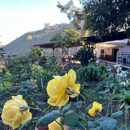 Finca Los Arcos Del Laurel Moya  Zewnętrze zdjęcie