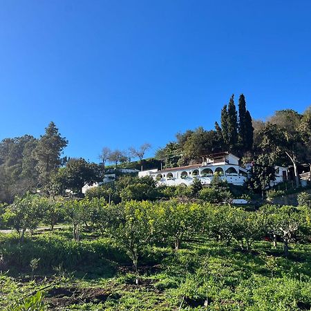 Finca Los Arcos Del Laurel Moya  Zewnętrze zdjęcie